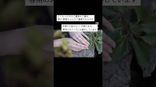 ご遺骨ジュエリーって？「家族の絆」｜ご遺骨・ご遺毛をお納めした特別なジュエリー専門工房