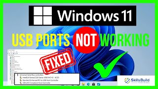 How to Fix USB Ports Not Working in Windows 11 [FAST]