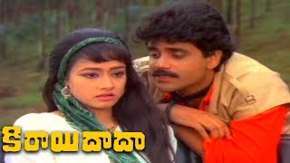 Nagarjuna & Amala Love || Kirayi Dada Telugu || Nagarjuna, Amala, Khusboo, Jayasudha