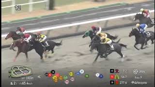 20250106 競馬ﾚｰｽﾄﾋﾟｯｸ　07【大野Ⅴ】'25初茜賞 D1800 10下 メイショウフジ