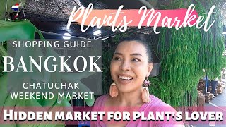 Shopping Bangkok | Plants market | Hidden market | Chatuchak market | Thailand #TeyaSuchira