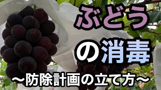 ぶどうの消毒〜防除計画の立て方〜2021-11-17