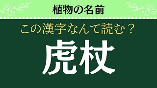 【漢字クイズ全20問】植物の名前【簡単なものから難読漢字まで】