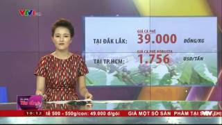 Giá cà phê tại Đắk Lắk đang liên tục tăng cao | VTV24