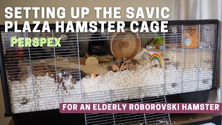 Setting up the Savic Plaza Hamster Cage for an elderly Roborovski Hamster