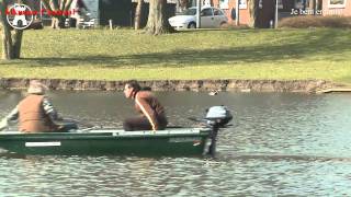 Dierenbeul heeft het gemunt op ganzenfamilie in Alkmaarse park Oosterhout