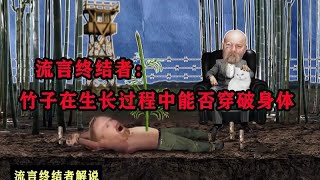 流言终结者：竹子在生长过程中能穿过身体吗，实验结果让人震惊