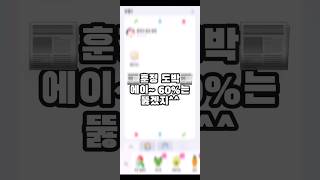 [말온] 랜박 60% 뚫고 훈민정음 얻기...