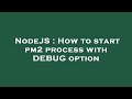 NodeJS : How to start pm2 process with DEBUG option
