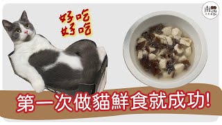 【貓咪】第一次做貓鮮食就成功!A姆貓鮮食EP1｜How to make cat wet food