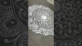 Beautiful Margazhi kolam #shorts #shortsviral #rangoli #ytkolam