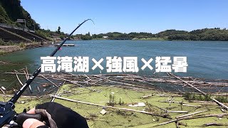 夏の高滝湖 強風＆猛暑時のセオリーは風裏とシェード【高滝湖 バス釣り おかっぱり】