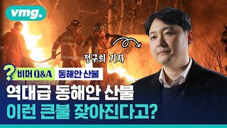 역대급 동해안 산불…이런 큰불 잦아진다고? (ft. SBS 과학기자) / 비머 Q\u0026A / 비디오머그