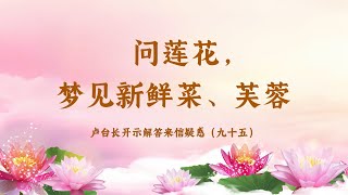 【问莲花，梦见新鲜菜、芙蓉】卢台长开示解答来信疑惑（九十五）| 观世音菩萨心灵法门