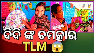 ଦିଦି ଙ୍କ ଚମତ୍କାର TLM ||wonderful TLM ||odia vlog ||Sanjaya entertainment ||