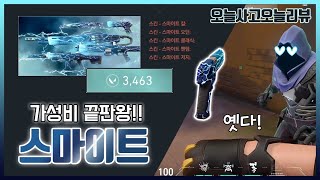 스마이트 스킨 컬렉션 가성비 GOOD!! 팬텀 스킨 없는 사람 추천!! [발로란트]