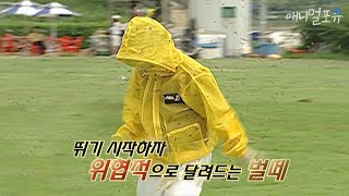 시청자 요청 🚛 실수로 건드린 벌집, 벌에 쏘이지 않기 위해 해야 할 행동??｜KBS 위기탈출 넘버원 050903 방송