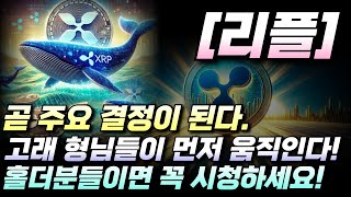 [리플] 곧 주요 결정이 된다. 고래 형님들이 먼저 움직인다! 홀더분들이면 꼭 시청하세요!