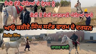 ਦੇਖੋ( ਸਿੰਘ ਸਟੱਡ ਫਾਰਮ)ਦੇ ਘੋੜੇ ਘੋੜੀਆਂ🐴 ਮਿਲੋ ਵੱਡੇ ਘੋੜਿਆਂ ਦੇ ਟ੍ਰੇਨਰ ਨੂੰ #horse #viralvideo#horseriding