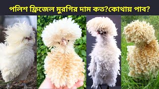 ফ্রিজেল পলিশ মুরগির দাম কত? কোথায় পাব? Polish Frizzle chicken price in Bangladesh \u0026 India