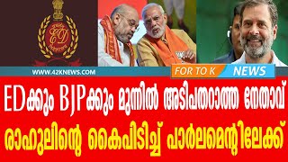 EDക്കും BJPക്കും മുന്നിൽ അടിപതറാത്ത നേതാവ് ....രാഹുലിന്റെ കൈപിടിച്ച് പാർലമെന്റിലേക്ക്