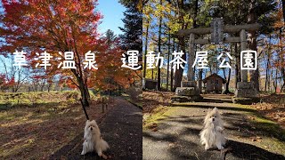 【草津運動茶屋公園】元保護犬・ポメラニアンのアートと紅葉散策！祈祷壇跡～即身成佛平九塚～天照皇大神宮～宝篋印庚申塔～草軽電鉄発起人顕彰碑～道の駅【群馬県草津町】　#153　2024/11/06