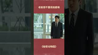 老板想不重视他都难#tiktok #movie #film #搞笑 #电影解说