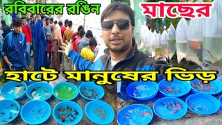 রঙিন মাছের হাট শ্রীরামপুর | Aquarium Fish Price |  Serampore Fish Pet Market🐟Aquarium Fish Serampore