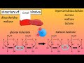 Structure Of Carbohydrates What Are Carbohydrates Made Of Structure Of Glucose Fructose Galactose