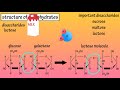 Structure Of Carbohydrates What Are Carbohydrates Made Of Structure Of Glucose Fructose Galactose