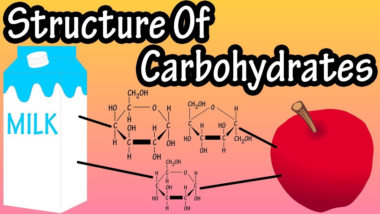 Structure Of Carbohydrates - What Are Carbohydrates Made Of -Structure ...