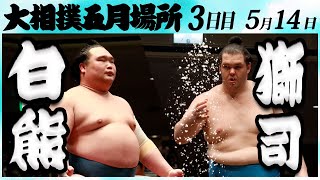 大相撲　白熊ー獅司　＜令和６年五月場所・３日目＞SUMO