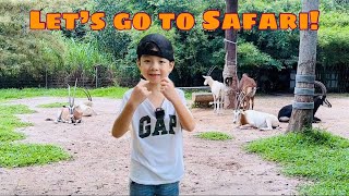 Let’s go to Safari! (Part 2)