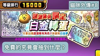 《貓咪大戰爭》特級貓咪祭+等排15000白金券開抽 貓咪外傳#8｜阿瑄