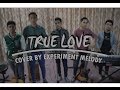 TRUE LOVE - Dhany Katahati (cover by Experiment Melody) OST #NHtruelove