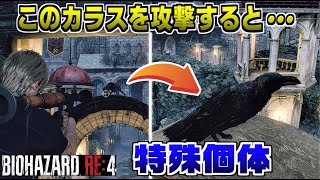 【小ネタ】チャプター12の中庭に出現するカラスの秘密 衝撃の結果に【バイオハザードRE4】小ネタ・裏技・検証【バイオ4リメイク】