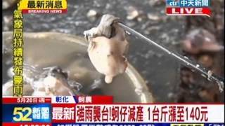 中天新聞》強雨襲台！蚵仔減產 1台斤漲至140元