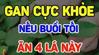 Gan cực khỏe nếu buổi tối ăn 4 lá này - SKST