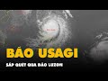 Bão số 8 đổi hướng, bão Usagi mạnh cấp 15 sắp quét qua đảo Luzon