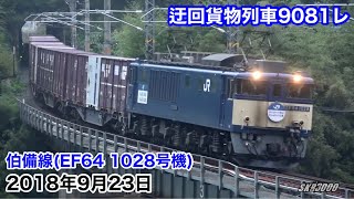 【JR貨物 迂回貨物列車9081レ 伯備線･山陰本線(EF64 1028号機･DD51 857号機) 2018.9.23】