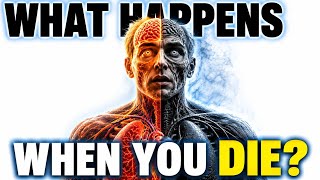 What Happens When You Die