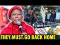 Julius Malema Call For All Zimbabweans immigrants To Go Back Home