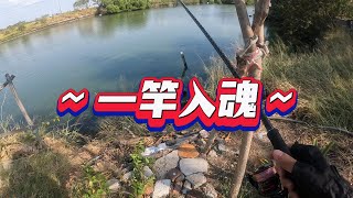 四草大員港＜後段＞、路亞、假餌、釣魚