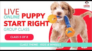 Canine Learning Academy Live Online Puppy Start Right Group Class | Class 5 of 8