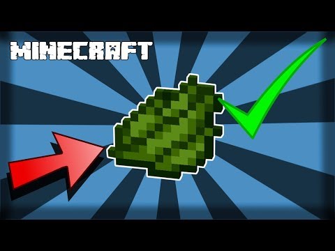 How to Make Green Dye in Minecraft