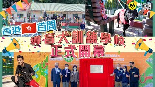 【直擊報道】香港首間導盲犬訓練學校正式開幕！國際級師資更安全、全面的訓練環境