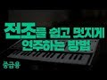 전조팁 대공개 [피아노악보/피아노배우기/피아노코드] 