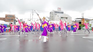 [4K] お喜楽家　かんおんじ銭形まつり 2019　銭形よさこい (銭よさ)