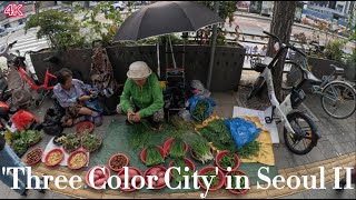 서울속 삼색 도시 II '진짜서울ep18' 풀버전 4KㅣASMRㅣNOISEㅣThree Color City in Seoul II 'Real Seoul ep18' full ver.