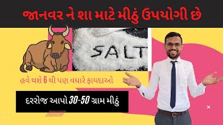 પશુને શામાટે મીઠું આપવું જોઈએ # benifit in salt mineral